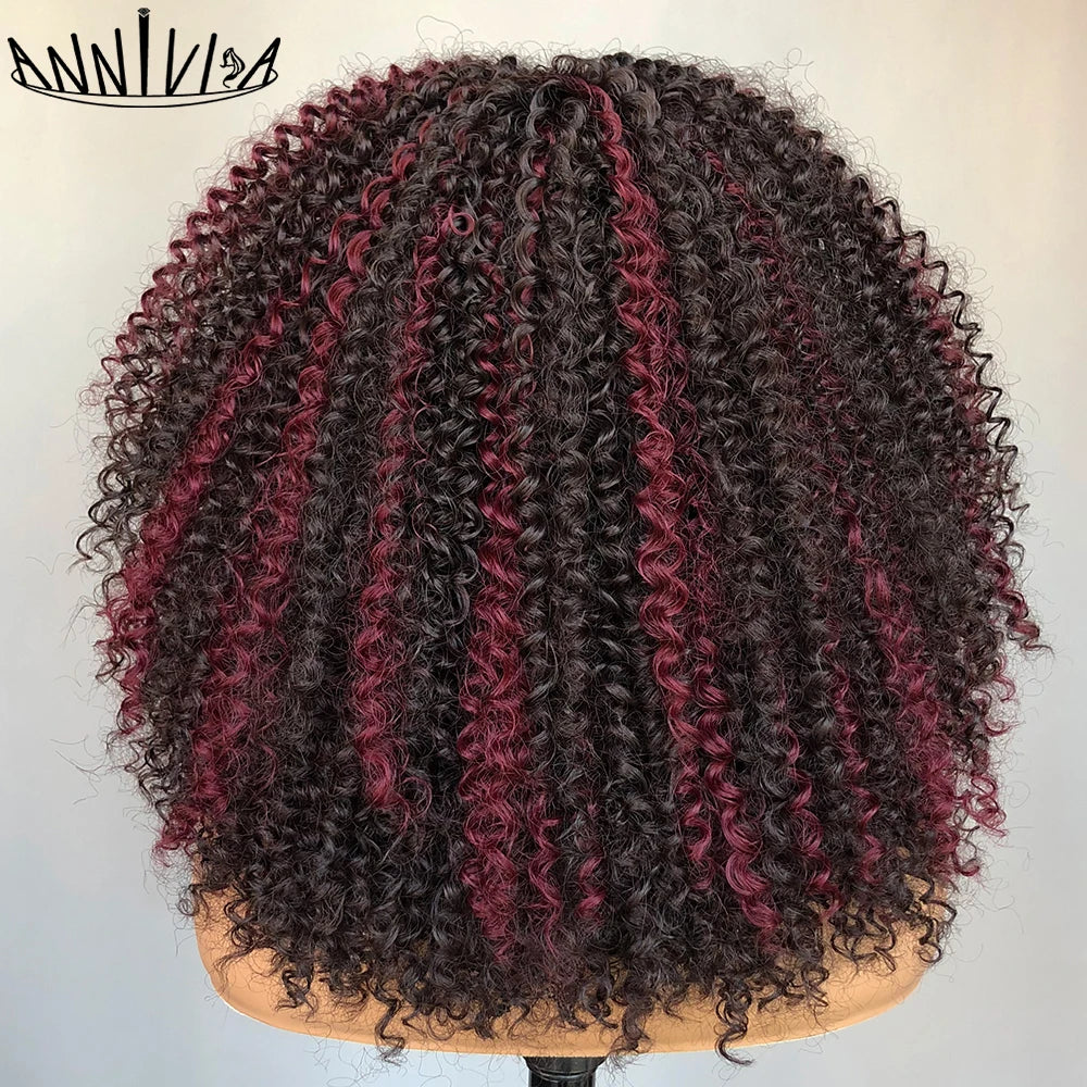 Lace Front Wig – Afro Kinky Curly